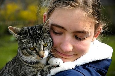 Allergi over for katte
