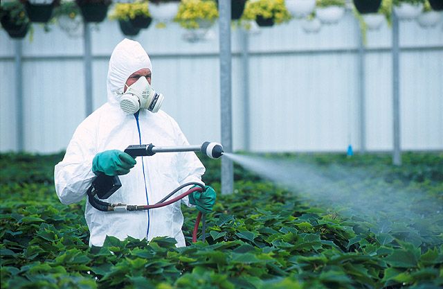 Nanopesticider: En ny løsning eller en ny trussel? 