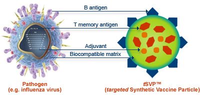 En kompleks syntetisk vaccine baseret på DNA-molekyler er blevet skabt