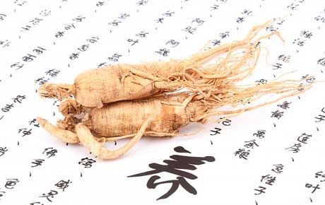 Ginseng under graviditet